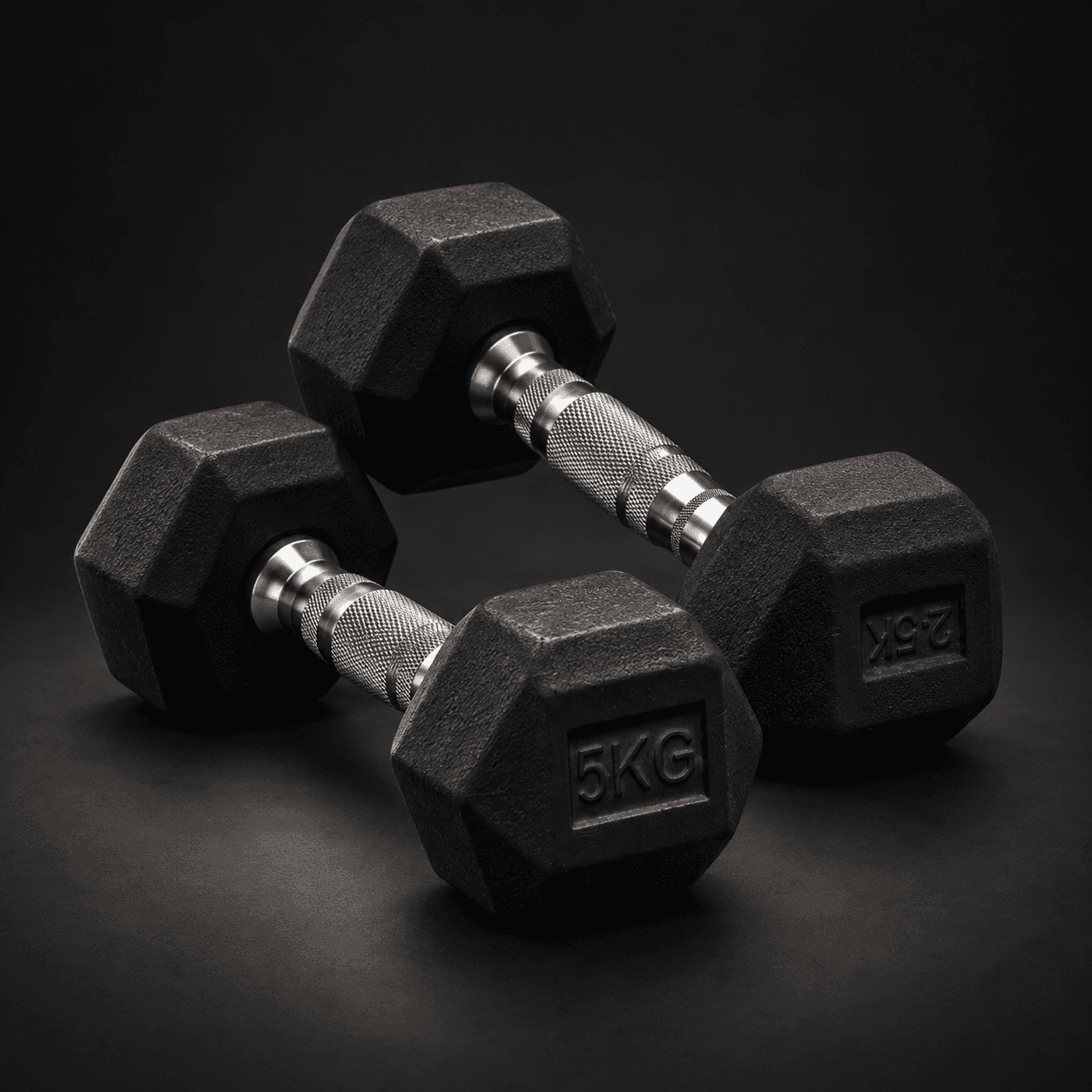 priority dumbbells dark studio v1